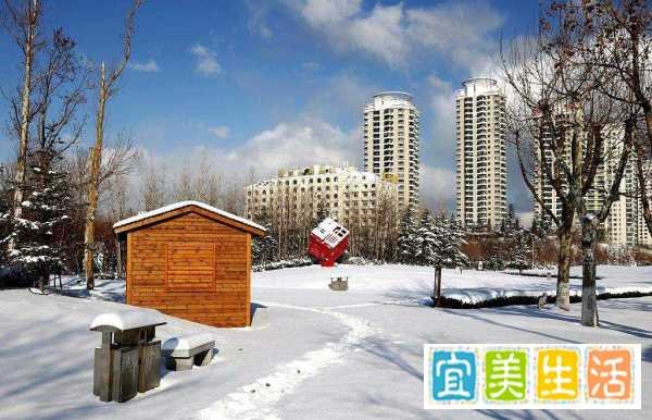 “瑞雪初降”的意思