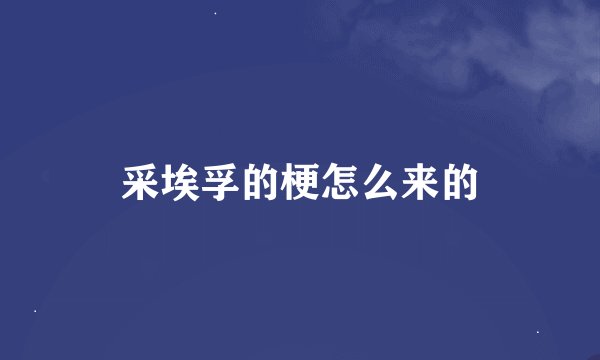 采埃孚的梗怎么来的
