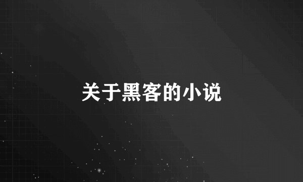 关于黑客的小说