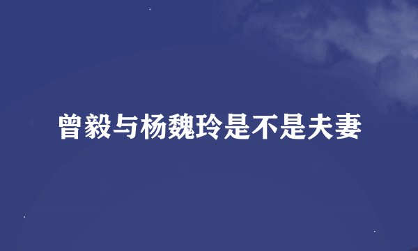 曾毅与杨魏玲是不是夫妻