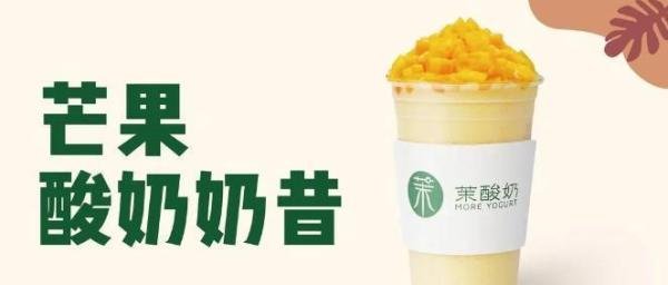 茉酸奶加盟：茉酸奶加盟费用是多少？（2023最新）费用标准公布！