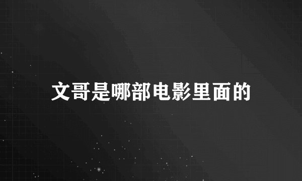 文哥是哪部电影里面的