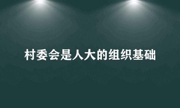 村委会是人大的组织基础
