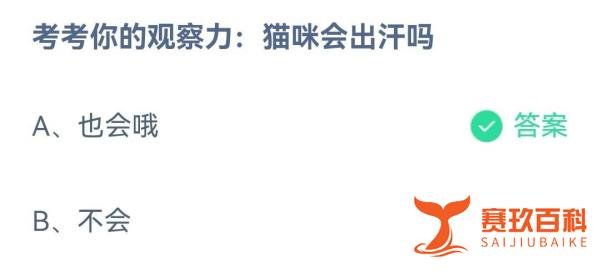 蚂蚁庄园：考考你的观察力猫咪会出汗吗