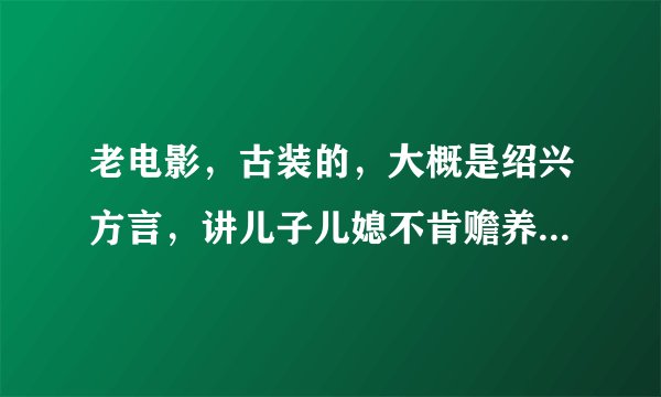 老电影，古装的，大概是绍兴方言，讲儿子儿媳不肯赡养老母亲，县官两次判案，是实景拍摄的，想找出名字