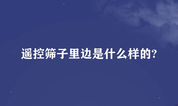 遥控筛子里边是什么样的?