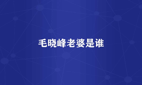 毛晓峰老婆是谁