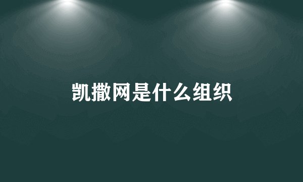 凯撒网是什么组织