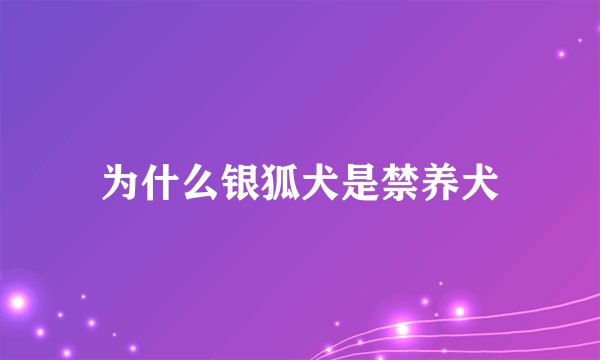 为什么银狐犬是禁养犬