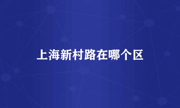 上海新村路在哪个区