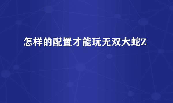 怎样的配置才能玩无双大蛇Z