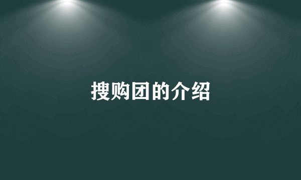 搜购团的介绍