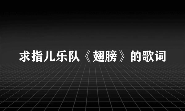 求指儿乐队《翅膀》的歌词