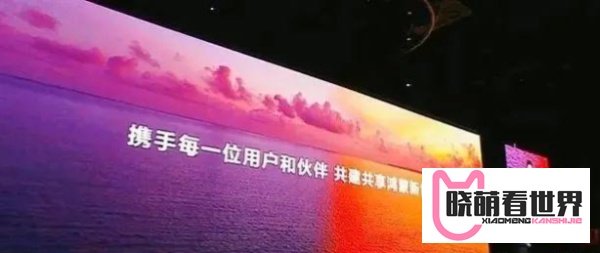 “纯血鸿蒙”全球总代理已现！签约仪式已完成，即将起飞！