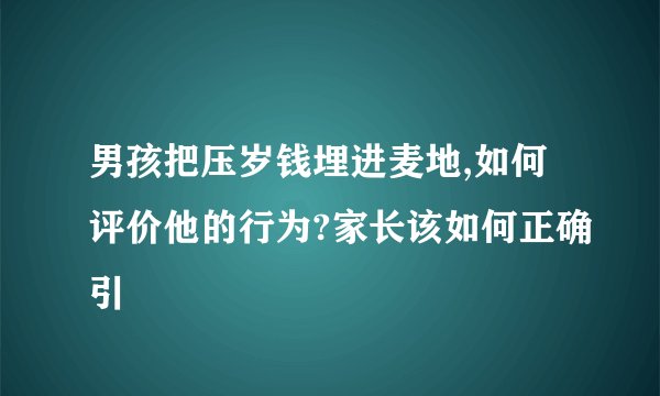 男孩把压岁钱埋进麦地,如何评价他的行为?家长该如何正确引