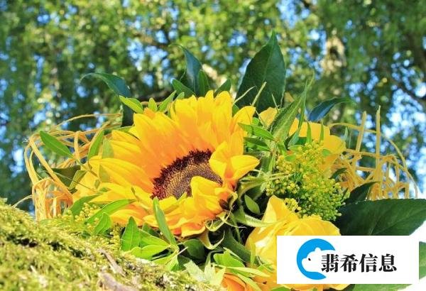 诗词丨百事从心起,一笑解千愁