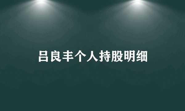 吕良丰个人持股明细