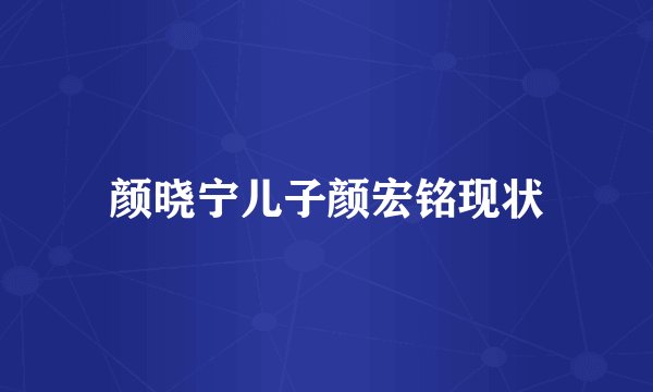颜晓宁儿子颜宏铭现状