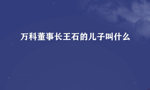 万科董事长王石的儿子叫什么
