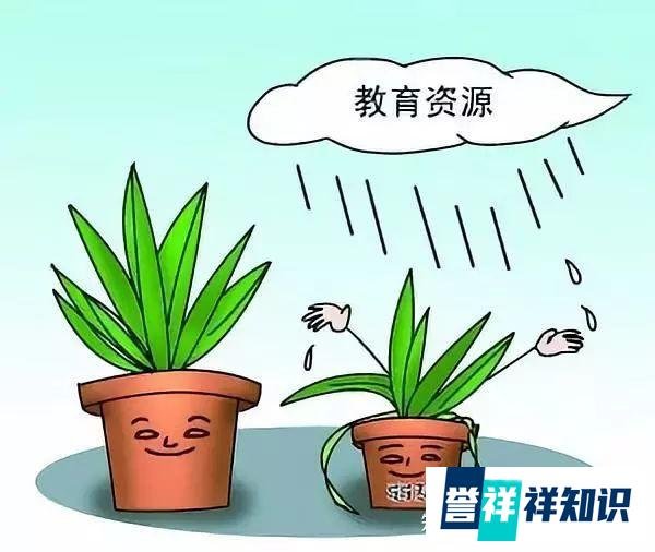 经济学家马光远震撼呼吁:教育公平新主张,不买房也保孩子上学权