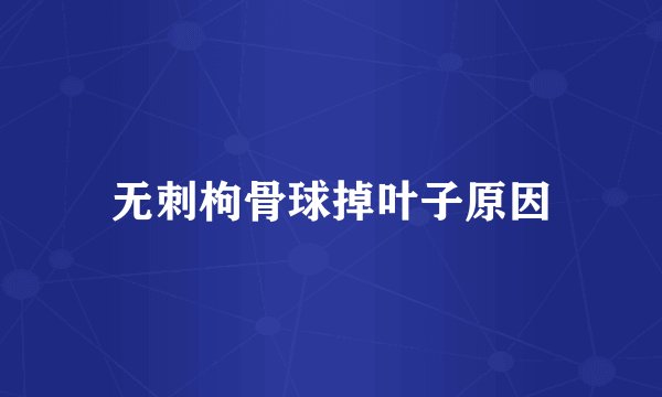 无刺枸骨球掉叶子原因