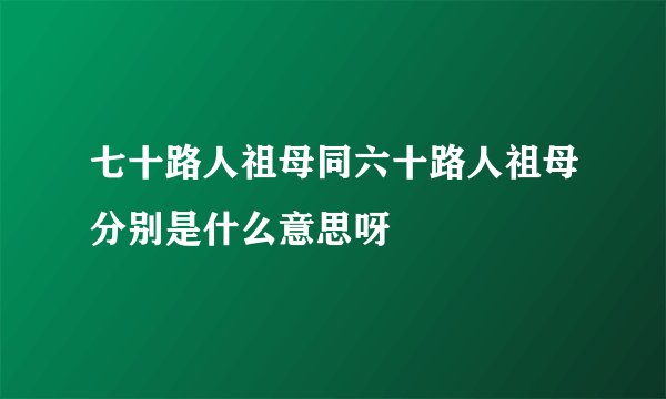 七十路人祖母同六十路人祖母分别是什么意思呀