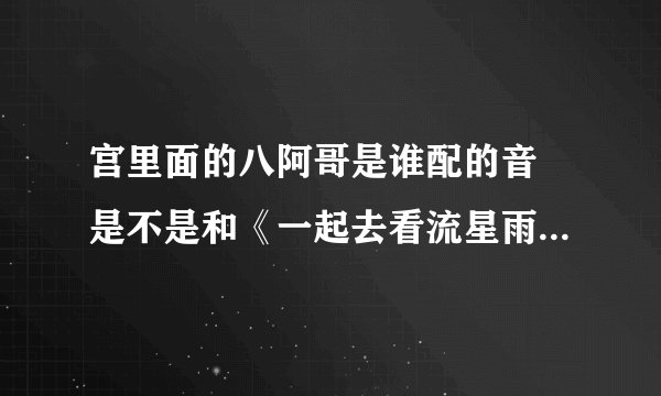 宫里面的八阿哥是谁配的音 是不是和《一起去看流星雨》里面的慕容云海配音的是同一人