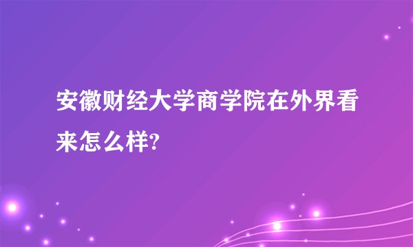 安徽财经大学商学院在外界看来怎么样?