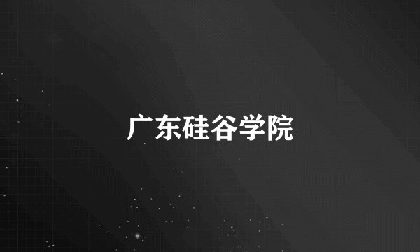 广东硅谷学院