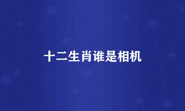十二生肖谁是相机