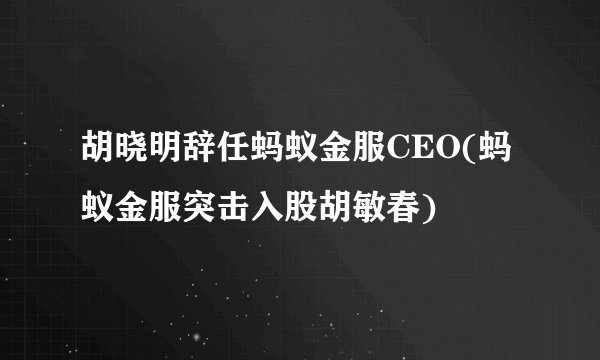胡晓明辞任蚂蚁金服CEO(蚂蚁金服突击入股胡敏春)