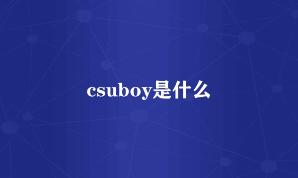 csuboy是什么