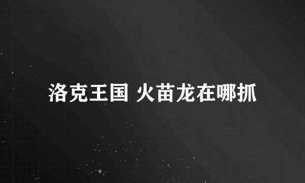 洛克王国 火苗龙在哪抓