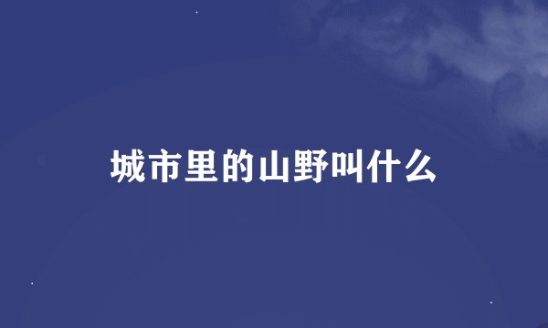 城市里的山野叫什么