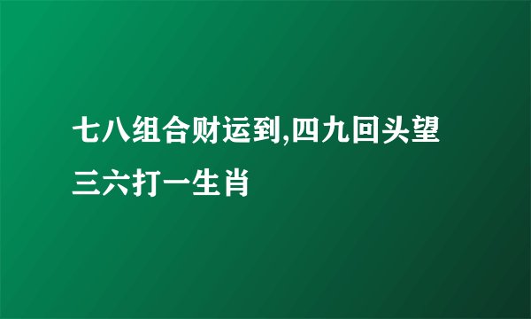 七八组合财运到,四九回头望三六打一生肖
