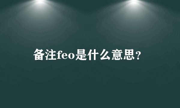 备注feo是什么意思？