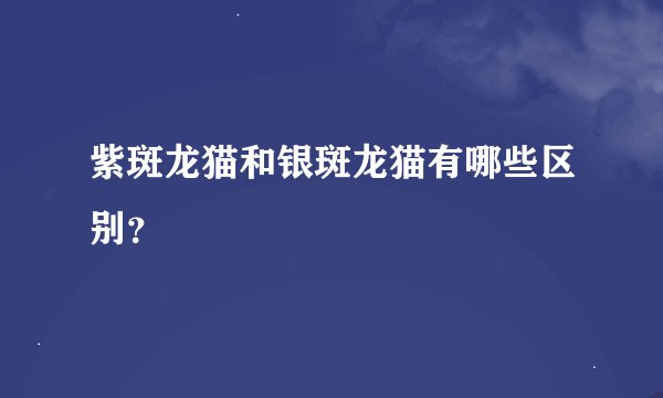 紫斑龙猫和银斑龙猫有哪些区别？