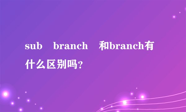 sub branch 和branch有什么区别吗？