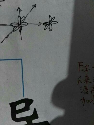 为什么两个原子形成共价键时必须首先形成cigema键？求讲懂谢谢！！