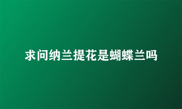 求问纳兰提花是蝴蝶兰吗