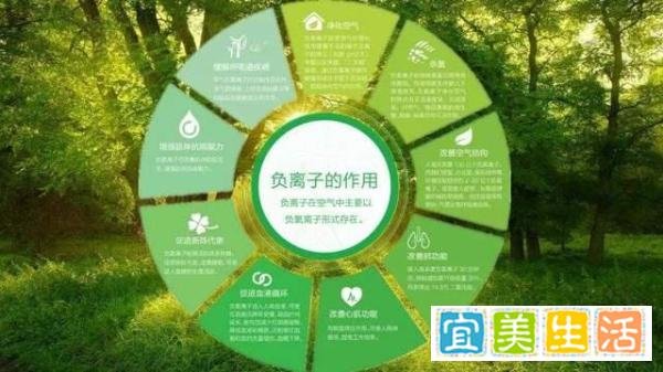 全网热搜!家庭抢囤呼吸制氧机,到底有多重要?