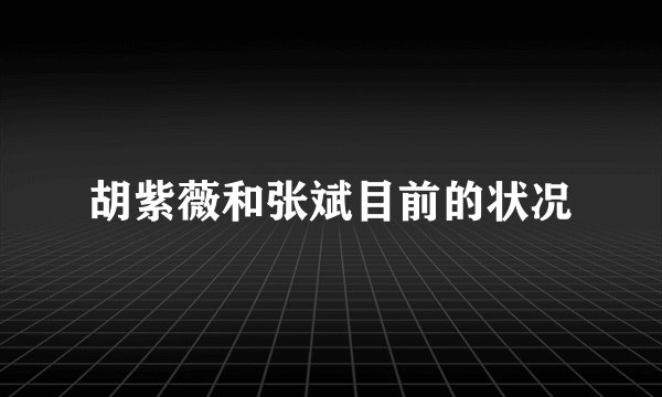 胡紫薇和张斌目前的状况