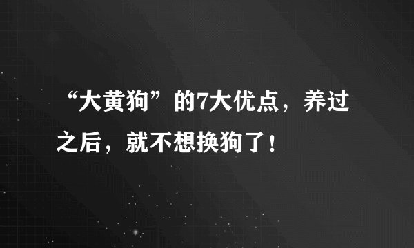 “大黄狗”的7大优点，养过之后，就不想换狗了！
