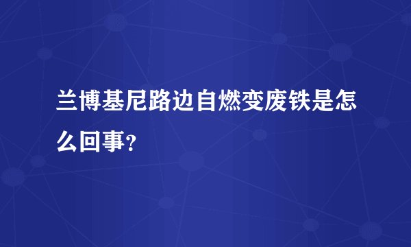 兰博基尼路边自燃变废铁是怎么回事？
