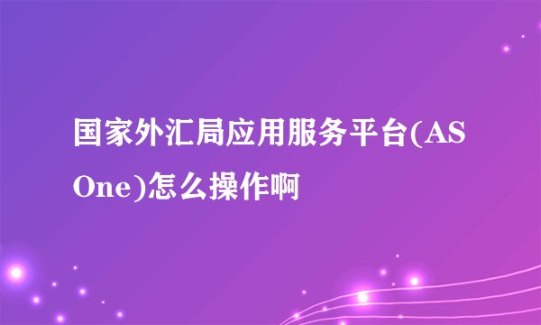 国家外汇局应用服务平台(ASOne)怎么操作啊