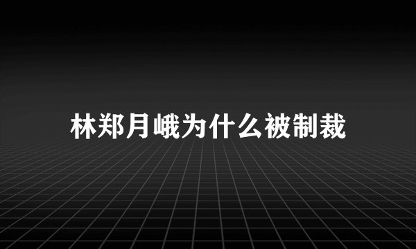林郑月峨为什么被制裁