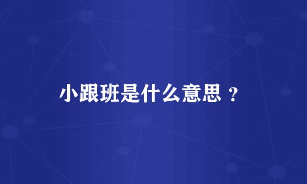 小跟班是什么意思 ？