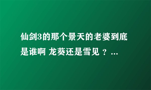 仙剑3的那个景天的老婆到底是谁啊 龙葵还是雪见 ？他们的儿子景小楼为什么是败家儿子啊