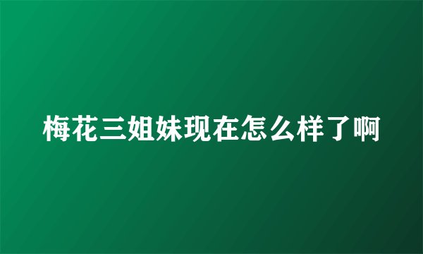 梅花三姐妹现在怎么样了啊