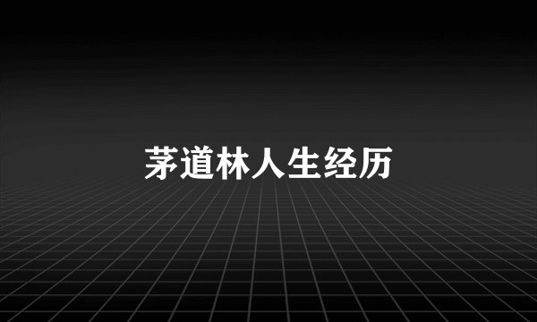 茅道林人生经历